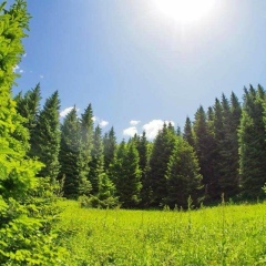 Медер Алымкулов, 23.11.1979