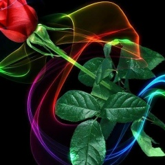 Lara Esmael, Setúbal