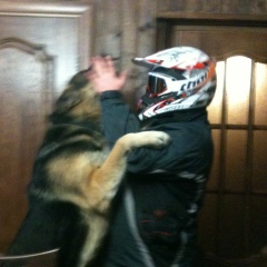 Никита Разорвашкин, 03.02