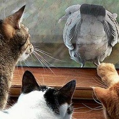 Ирина Бодунова, 13.06.1965, Санкт-Петербург