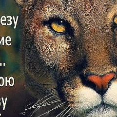 Мехтаз Фатрони, 05.12.1985, Киев