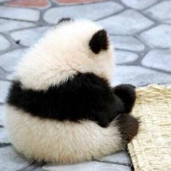 Linda Malx, 21.02.1944, London