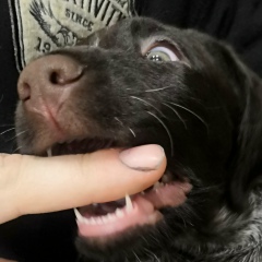 Виктор Чуплыгин, 13.03, Чебоксары