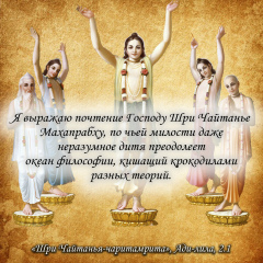 Антон Король, 24.05, Киев