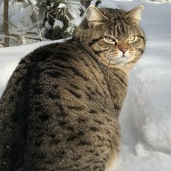 Ваня Гуд, 24.01.1997, Таганрог