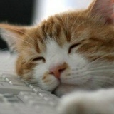 Светлана Трофимова, 06.09.1971