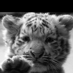 Анастасия Маклакова, 06.07.1989, Челябинск