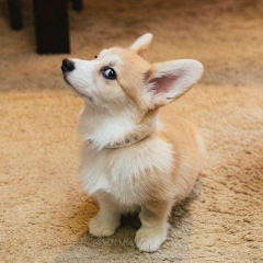 Khin Wuttyi, 31.01.1995, Naypyidaw