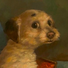 Александр Мироненко, 16.05, Волжский