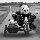 Антон Голанд, 18.03.1988, Ужгород