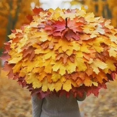 Ольга Купцова, 04.06, Хабаровск