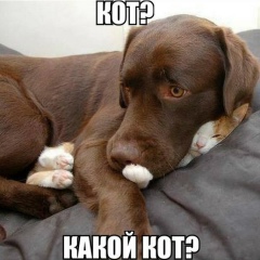 Крис Кристинова, Санкт-Петербург