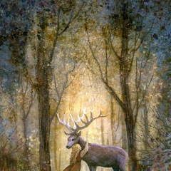 Viktoria Hrynkevich, 14.07.1975, Wien