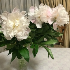 Akzhunus Begessinova, 20.07.1990, Атырау