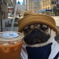 Денис Савин, 26.06, Санкт-Петербург