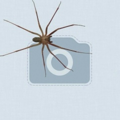 Урудж Шахбанов, 01.02, Махачкала