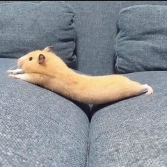 Oksana Denisova, Минск