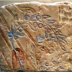 Елена Водопьянова, 28.01.1986, Санкт-Петербург