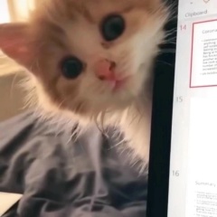 Стасик Философский, 02.06, Воронеж