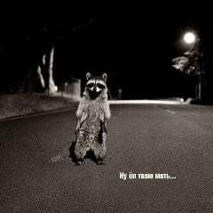 Елена Филиппова, 06.12.1984, Санкт-Петербург