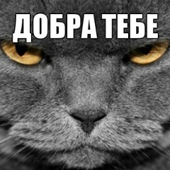 Виталик Иванов, Кишинев