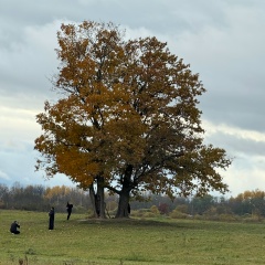 Руслан Король, Санкт-Петербург