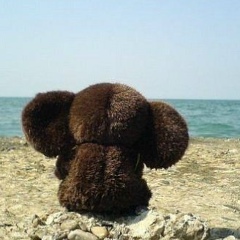 Андрей Евдокимов, 22.04.1977, Краснодар