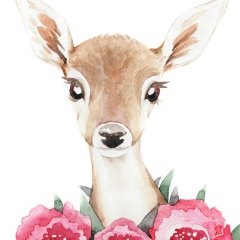 Алёна Романова, 16.02