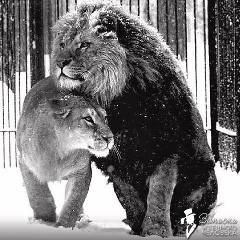 Надежда Мурко, 23.07.1985, Москва