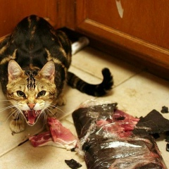 Виталий Храмлюк, 19.01