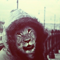 Dimelian   Валиахметов , 25.04, Тель-Авив