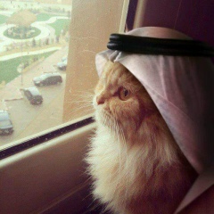 Виталий Ковбель, Hannover