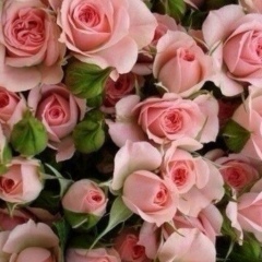 Регина Юлаевна, 07.04, Уфа