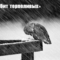 Али Мухамедов, 19.05.1984, Екатеринбург