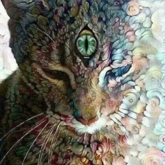 Елена Габдрахманова, Уфа