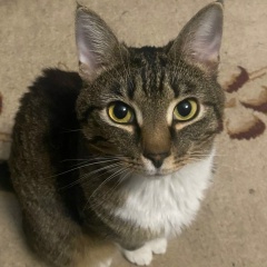 Кирилл Сергеевич, Москва