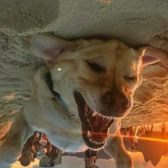 Виктор Игоревич, 20.11.1990, Горловка