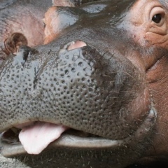 Алексей Фаворский, 28.09.1978, Санкт-Петербург