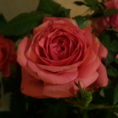 Аина Байзакова, 14.01, Астана