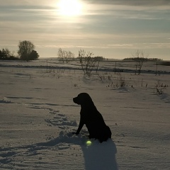 Юлия Аленичкина, 24.07.1973, Челябинск