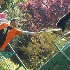 Максим Іванейко, 02.03.1990, Москва