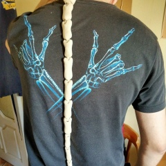 Александр Донцов