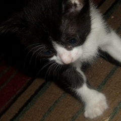 Sehun Oh, 29.09.1997, Seoul