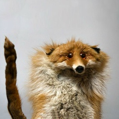 Аня Киреенко, 25.06.1991, Минск