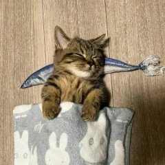 Cyxapik Cyxov, 15.01.2002, Одинцово