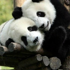 Евгения Панина, 21.06