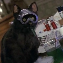 Александр Заводчиков