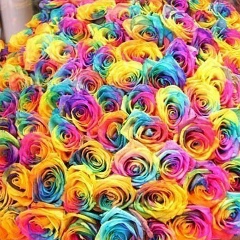 Malika Shavdinova, 07.02.1987, Алматы