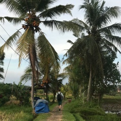 Даниил Масленников, 07.05.1991