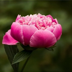 Светлана Кокорева, 01.01, Москва